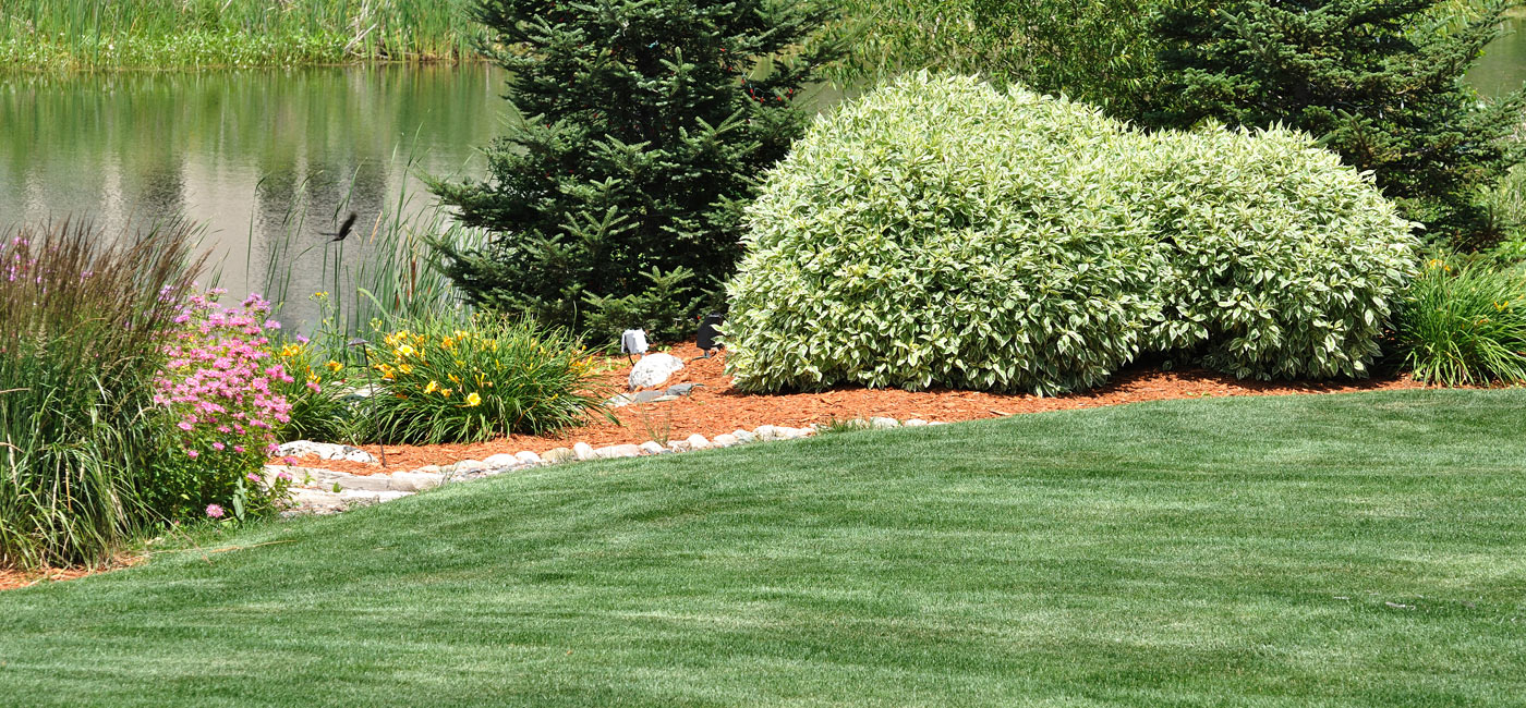 The Turf Guy - Long Island Lawn Care Specialist
