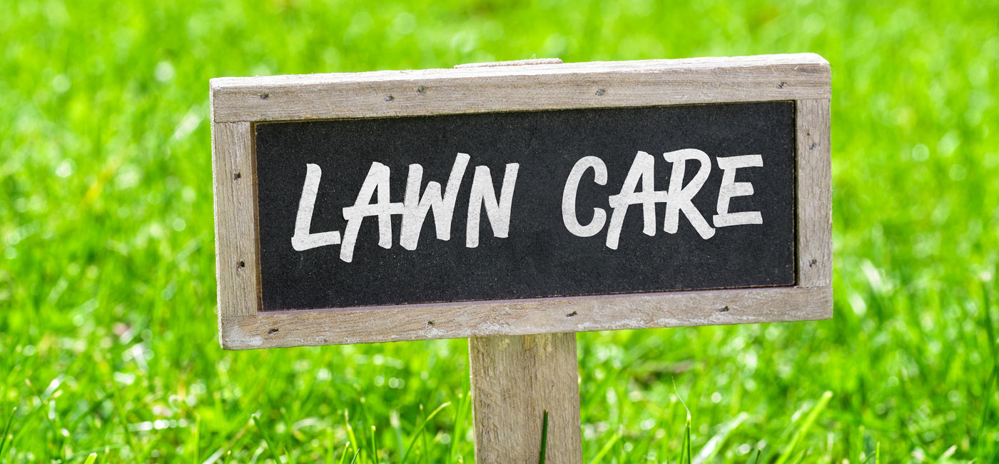 The Turf Guy - Long Island Lawn Care Specialist